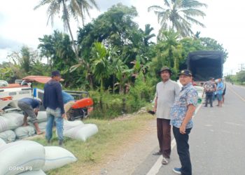 Kadistanak Nagan Raya, drh Safridhal : Harga Gabah Murah Karena Mutu dan Kualitas