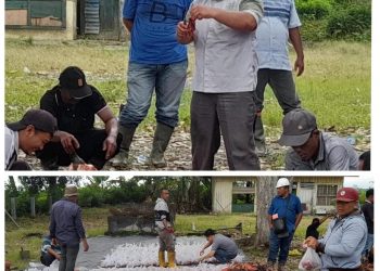 PT Kallista Alam Bagikan Ribuan Paket Daging “Meugang” Gratis Untuk Karyawan