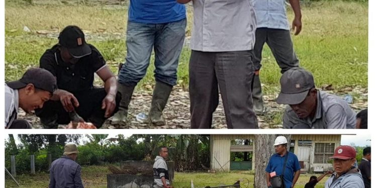 PT Kallista Alam Bagikan Ribuan Paket Daging “Meugang” Gratis Untuk Karyawan