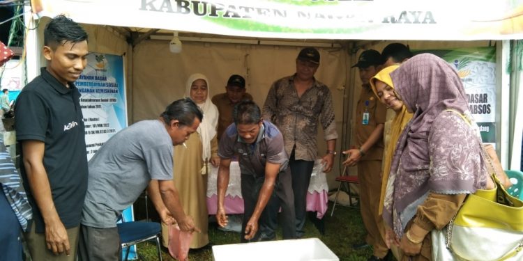 PPDI Nagan Raya ikut Meriahkan Expo Rameune 2023