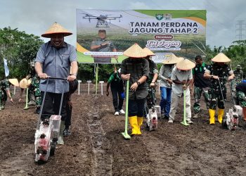 Jaga Ketahanan Pangan, Kodam IM Tanam Jagung di Nagan Raya
