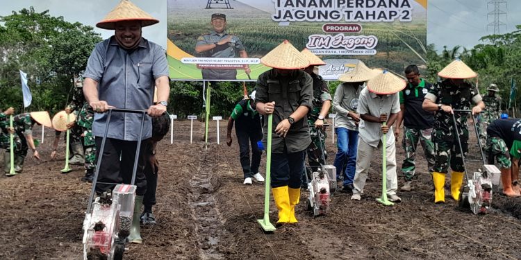 Jaga Ketahanan Pangan, Kodam IM Tanam Jagung di Nagan Raya