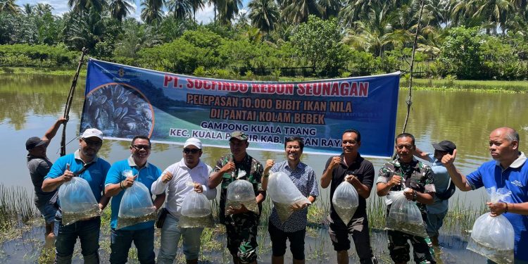 PT Socfindo Seunagan Tabur 10.000 Bibit ikan Nila di Kolam Bebek Nagan Raya
