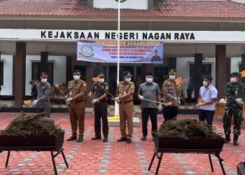 Kejari Nagan Raya Musnahkan 9,7 Kilogram Ganja dan 47,26 Gram Sabu