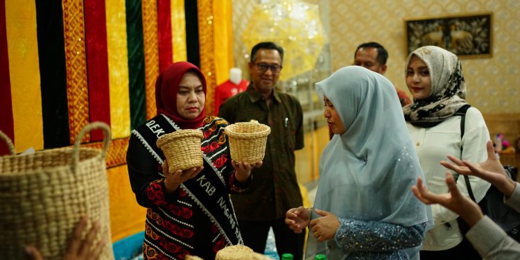 Pj Bupati Nagan Raya Sambut Kunjungan Kerja Ketua Dekranas Aceh