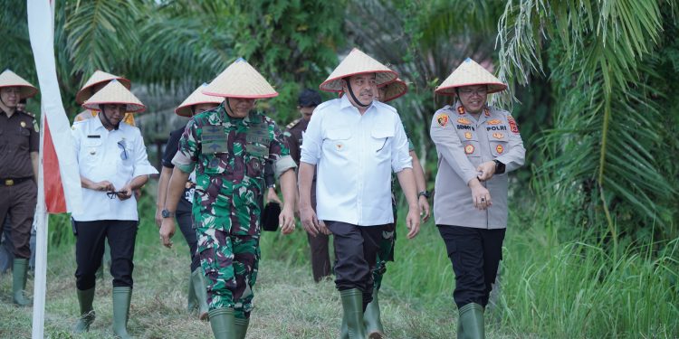 Bupati TRK Ikuti Gerakan Tanam Padi Serentak 14 Provinsi yang Digagas Kementan