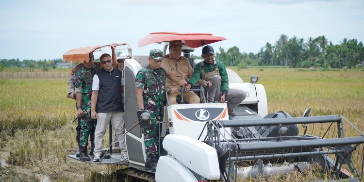 Bupati TRK Ikuti Panen Raya Padi Serentak 14 Provinsi