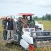 Bupati TRK Ikuti Panen Raya Padi Serentak 14 Provinsi