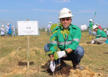 PT BEL Reklamasi 15 Hektar Lahan Bekas Tambang pada Peringatan HLHS 2025