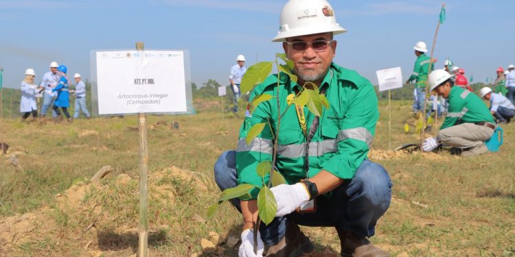 PT BEL Reklamasi 15 Hektar Lahan Bekas Tambang pada Peringatan HLHS 2025