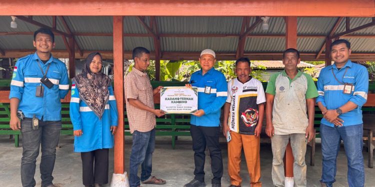 Semangat Azhari Berwirausaha Ternak Kambing dengan Bantuan dari PT BEL