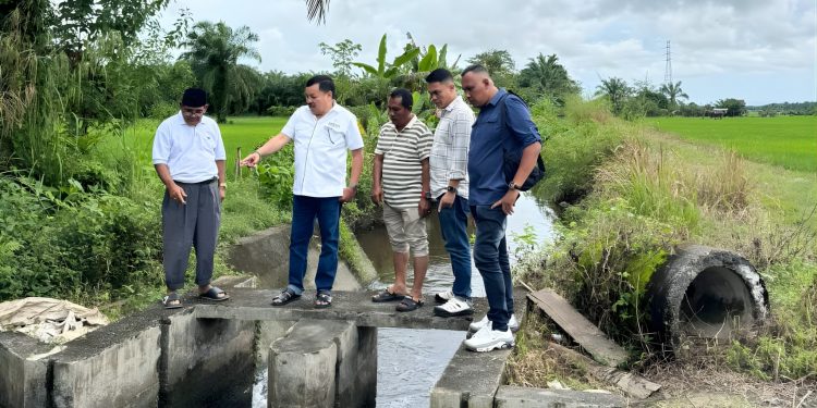 Respons Cepat Keluhan Petani, Bupati TRK: Tinjau Saluran Irigasi Ujong Fatihah