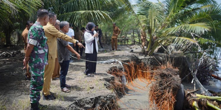 Wabup Nagan Raya Tinjau Abrasi Pantai Wisata Naga Permai
