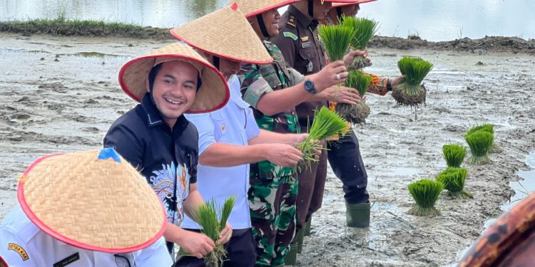Ketua DPRK Nagan Raya Hadiri Kegiatan Tanam Padi Serentak di Desa Puloe Ie