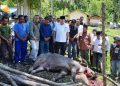 Bupati TRK Salurkan Bantuan Daging Meugang dari Presiden Prabowo