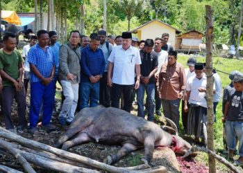 Bupati TRK Salurkan Bantuan Daging Meugang dari Presiden Prabowo