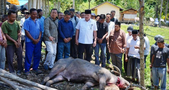 Bupati TRK Salurkan Bantuan Daging Meugang dari Presiden Prabowo