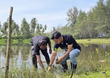 Peringati Hari Bhakti Adhyaksa, Kejari Nagan Raya Tanam Ribuan Pohon Manggrove di Pantai Kolam Bebek