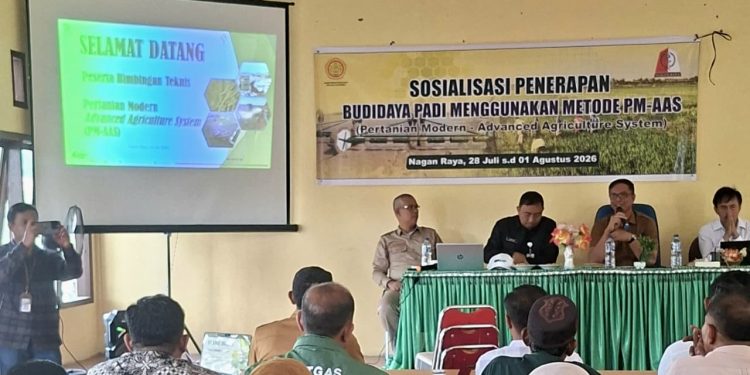Kementan Targetkan 1.261 Hektare Sawah Nagan Raya Terapkan Sistem PM-AAS