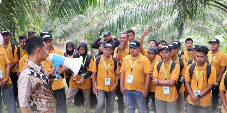 185 Pekebun Aceh Timur Ikuti Pelatihan Teknis Budidaya Kelapa Sawit di Banda Aceh