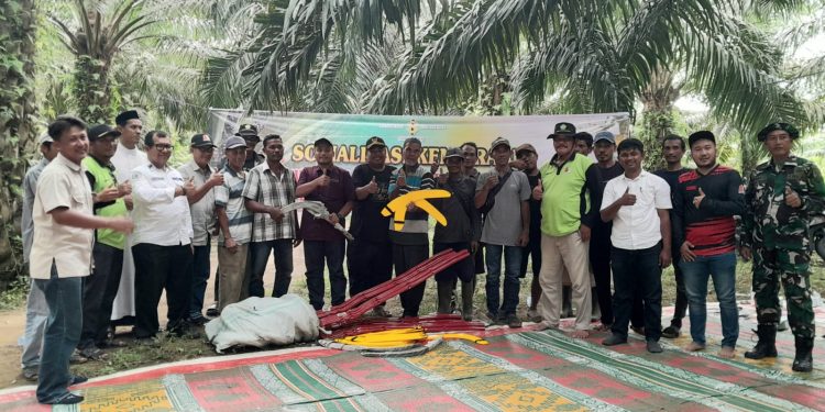 PT Socfindo Kebun Seunagan Gelar Sosialisasi kepada Petani Sawit di Padang Panyang